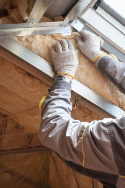 Best Types of Insulation in La Presa, CA