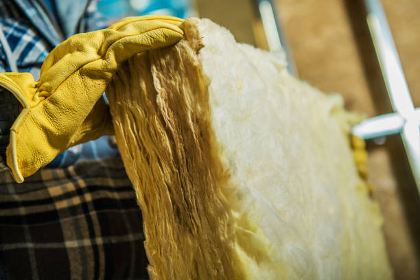 Best Residential Insulation in La Presa, CA